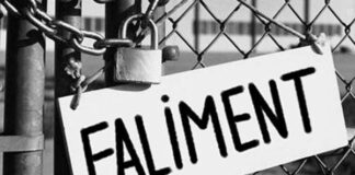 NOUL WOODEST a intrat direct în faliment cu datorii declarate de 22 milioane lei… de 3,6 ori mai mari decât la finalul anului 2025; firma controlată de Gian Maria MARTINELLI a avut anul trecut peste 100 de angajaţi şi afaceri de 34 milioane lei