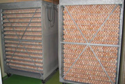 AVITOP-incubator-180