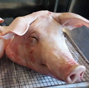 CAP-DE-PORC-180