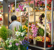 FLORARIE-MALL-180