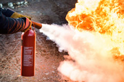 FOC-PROTECT-180