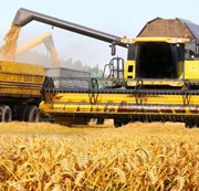 GRAINS-MEALS-180