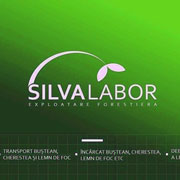 SILVA-LABOR-180