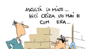 Falimentul NIBO TECHNIC: Datorii la stat cu stopaj la sursă… inclusiv penal; noua firmă a patronului Ioan Nicuţă URSACHE a încheiat anul 2022 cu pierderi şi capitaluri proprii negative