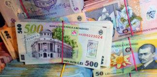 IRENTCAPITAL: O altă ţeapă a unor indivizi CÎRSTEA (din Argeş şi Olt) pusă în cârca unei persoane cu cetăţenie spaniolă; au dispărut active de 6,5 milioane lei… şi au apărut datorii la stat de 2,14 milioane lei; lichidatorul judiciar DBP INSOLVENCY AND RESTRUCTURING nu a prezentat Raportul privind cauzele insolvenţei nici măcar Fiscului