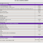ECO DUNĂREA SUD: Rezultate financiare 2021