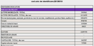 ELEMATIS TECH: Rezultate financiare 2021
