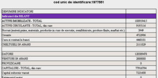 IULIUS GROUP SRL: Rezultate financiare 2021