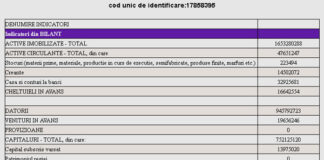 IULIUS MALL TIMIŞOARA: Rezultate financiare 2021