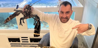 MAX ESTATE a cesionat mărcile RACI.RO şi TAVERNA RACILOR… la scurt timp după ce SUPERVIZOR.ro a semnalat că are datorii la stat de 8,5 milioane lei; între timp, restanţele fiscale au ajuns la 11,4 milioane lei… cu stopaj la sursă de cel puţin 6,5 milioane lei, creştere de peste 550.000 lei după ce a redevenit infracţiune