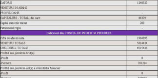 Dosar de insolvenţă pentru DARCILO