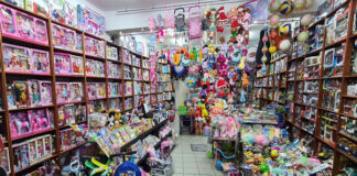 Iacob-Viorel PAPUC a trecut firmele ALEELENTOYS şi RGCM CLEAN 2019 pe numele unui necăjit; prima face obiectul unor confiscări speciale (jucării contrafăcute), iar a doua a intrat deja în faliment