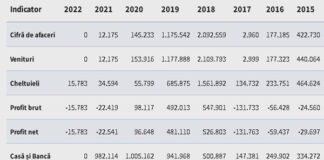 EUROPEAN IMMOBILIEN MARKET a încheiat ultimii ani de activitate cu lichidităţi de aproximativ un milion de lei, de trei ori mai mari decât datoriile… iar lichidatorul judiciar PECUNIA susţine că „lipsa permanentă de disponibilităţi băneşti” este principala cauză a intrării în faliment