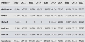 Faliment dubios la NELYŞTEF FEL: Debitoarea declară datorii la stat de 50.000 lei… dar apare pe „lista albă” de pe siteul ANAF, iar AJFP Galaţi nu s-a înscris la masa credală! Totuşi, firma deţinută de Nela FELEA şi Ştefan FELEA ar fi trebuit să achite fără probleme această sumă… deoarece figurează cu lichidităţi de 8 ori mai mari