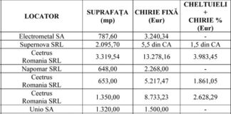 Falimentul CASA RUSU: Care erau sumele plătite pentru spaţiile comerciale închiriate de la CARREFOUR, CEETRUS, OMNILOS sau PRACTIKER; masă credală de 28,52 milioane lei (documente ataşate)