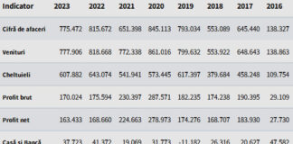 LAUR-YULI TRANS şi-a cerut insolvenţa; firma lui Iulian PLĂMĂDEALĂ a înregistrat profituri semnificative în fiecare an, iar la finalul lui 2023 avea datorii de sub 100.000 lei… de aproape 13 ori mai mici decât creanţele