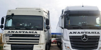 Tribunalul Timiş s-a mişcat suspect de rapid în cazul dosarului de insolvenţă ANASTASIA SPEDITION; alte două societăți au dat în judecată firma administrată de Loredana Carmen CĂLIN