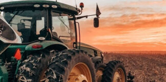 Intrată A DOUA OARĂ în concordat preventiv, SEMROM IMPEX a depus bilanţul pentru 2024: PIERDERI de 6,6 milioane lei, DATORII de 22,6 milioane lei şi capitaluri proprii negative; date contradictorii privind capitalul social