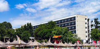 VILLAGE MEDIA: Firma care administrează Hotel NEKO din Saturn a intrat direct în faliment… a doua zi după ce a depus cererea