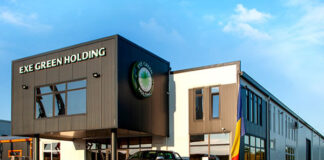 EXE GREEN HOLDING: Liderul eficienţei energetice şi al iluminatului se declară în dificultate financiară; compania deţinută de septuagenera Rodica CONSTANTINESCU a încheiat anul 2024 cu datorii de 44,3 milioane lei… cu 20 milioane lei mai mari faţă de anul anterior