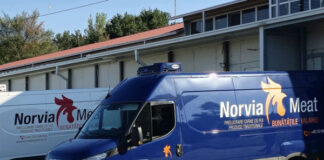 Cereri de insolvenţă împotriva BLACK STAR DISTRIBUTION şi NORVIA MEAT DISTRIBUTION; cele două companii cu sediul social în Deva sunt deţinute de Marian MIHAI, respectiv Laurenţia Claudia MIHAI, iar în 2024 au avut vânzări în valoare cumulată de 184 milioane lei