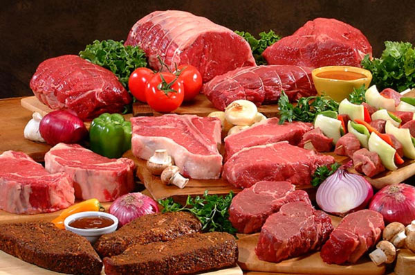 CARNE-600