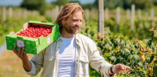DIVINGARDEN a intrat în insolvenţă; Tribunalul Bihor a admis cererea debitoarei… deşi firma deţinută de „şpăgarul cu elicopterul” Teodor Dumitru GAL nu a depus bilanţul pentru 2025