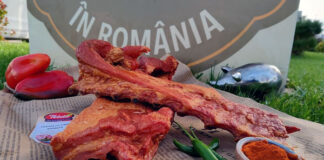 OLT: Falimentul EMM CIVIND DEVELOPMENT, ţeapa lui Mircea Florin ENE; cereri de insolvenţă împotriva INDUSTRIAL TURBINE SERVICES şi TELDO ROMALIMENT; demers eşuat pentru INDUSTRIAL MACHINERY OLTENIA